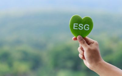 Cosa sono i criteri ESG (Environmental, Social, and Governance)