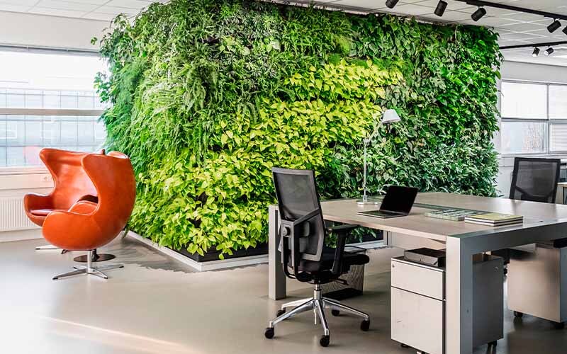 I vantaggi di una parete verde verticale in ufficio