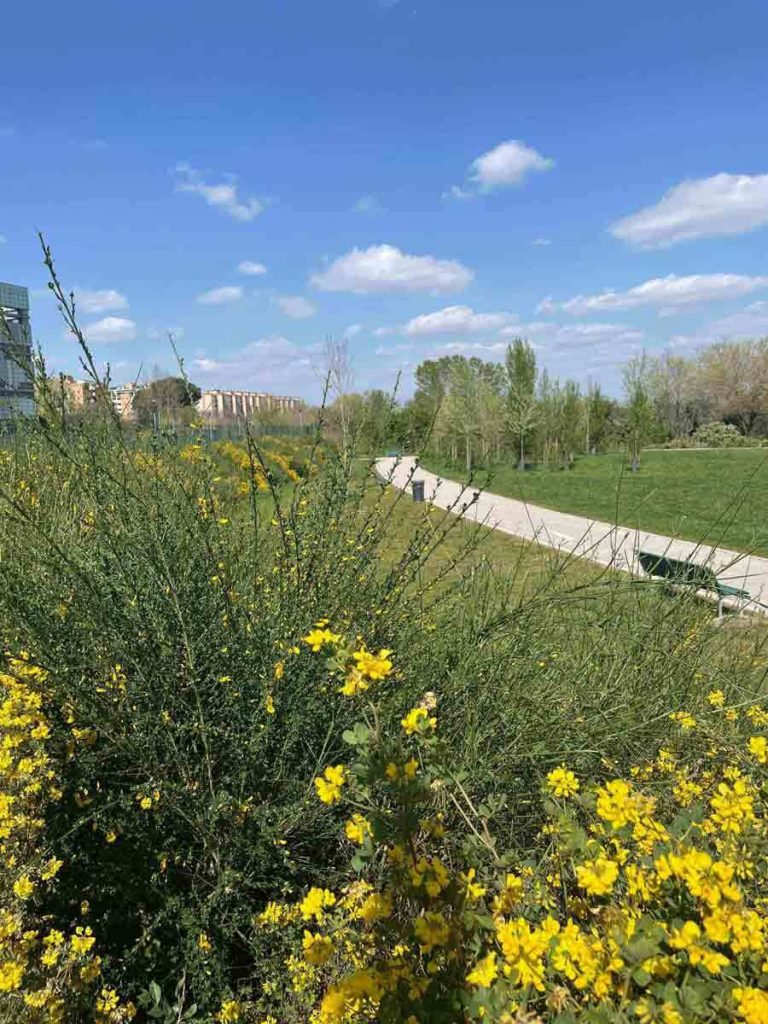 scarpata fiorita giardino urbano municipio 3 milano