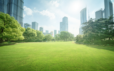 Drenaggio urbano sostenibile: il nuovo sistema ispirato alla natura